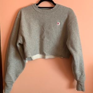 Urban Outfitters Gray Champion Cropped Sweatshirt